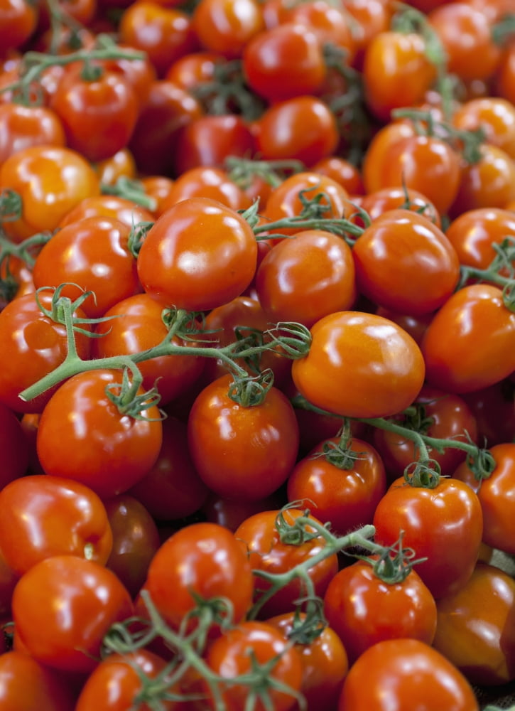 Tomatoes For Sale At Borough Market London England Canvas Art - Kav Dadfar Design Pics (26 x 36)