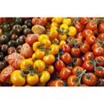 thumbnail image 1 of Tomatoes For Sale At Borough Market; London, England Poster Print (19 x 12), 1 of 1