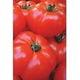 thumbnail image 1 of Tomatoes Notebook (Paperback), 1 of 1