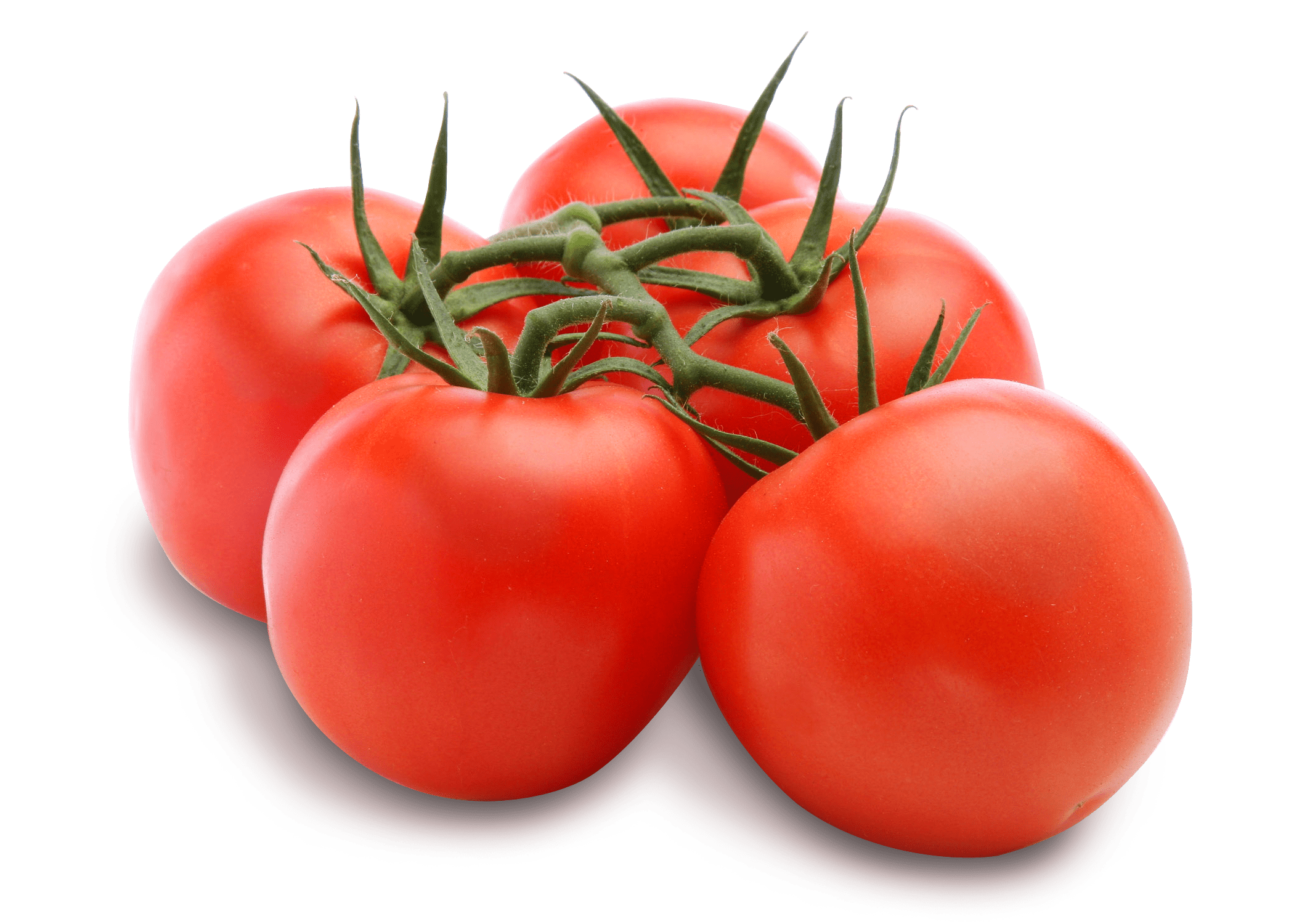 Backyard Farms Tomatoes On-the-Vine, Fresh, Per Lb