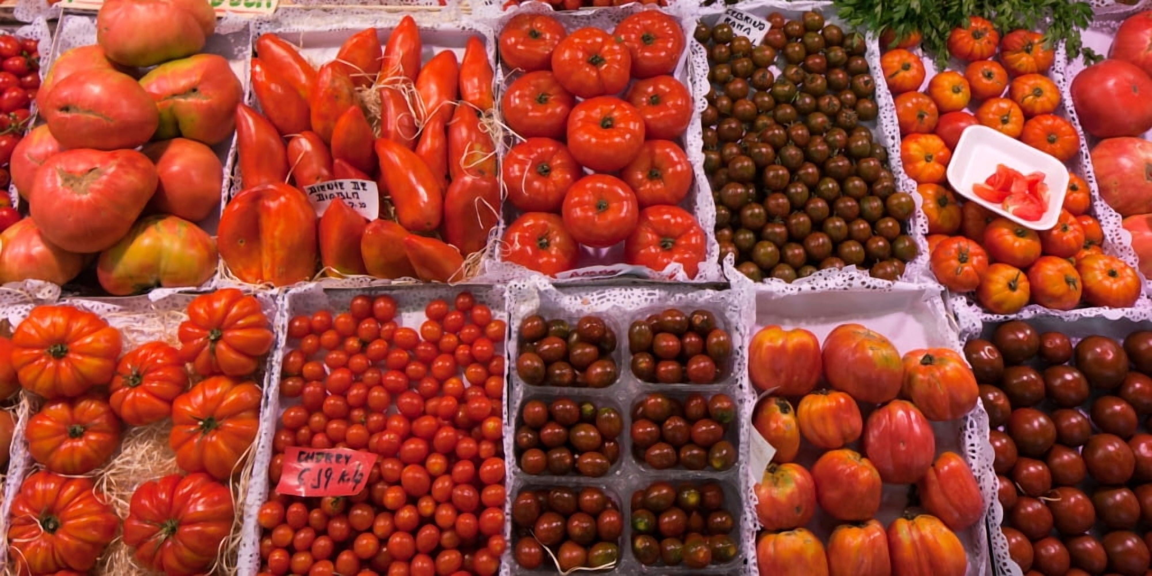 Tomatoes at a market stall Santa Caterina Market Barcelona Catalonia Spain Canvas Art - Panoramic Images (12 x 36)