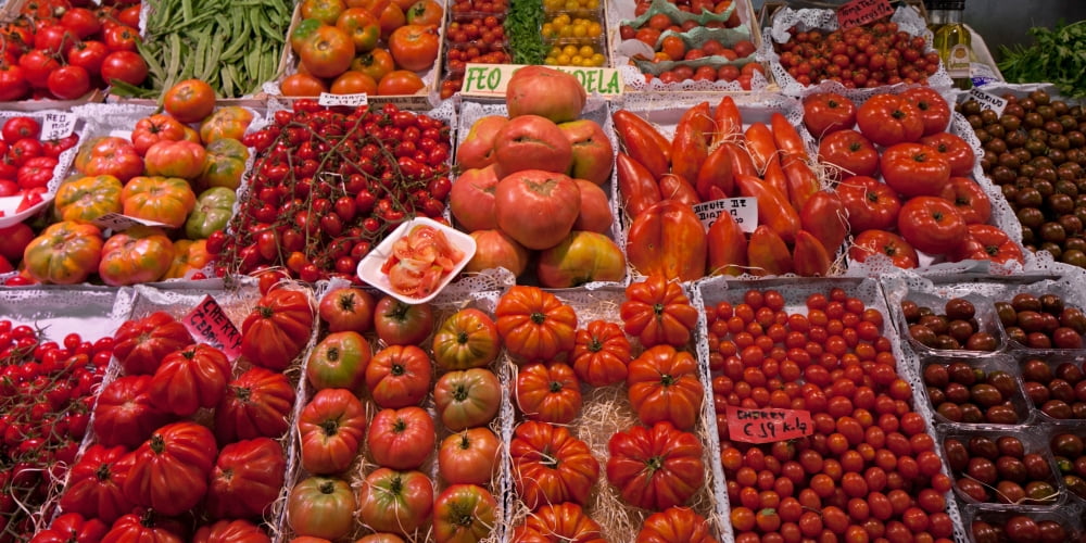 Tomatoes at a market stall Santa Caterina Market Barcelona Catalonia Spain Canvas Art - Panoramic Images (12 x 36)