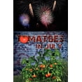 thumbnail image 1 of Tomatoes in July, 1 of 1