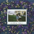 thumbnail image 1 of Tomberlin - At Weddings - Music & Performance - Cassette, 1 of 1