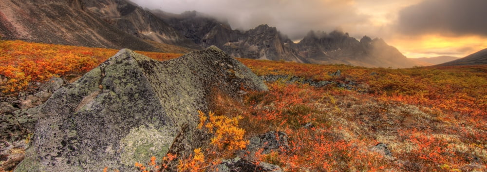 Tombstone Mountain Tombstone Territorial Park In Autumn Yukon Canvas Art - Robert Postma Design Pics (44 x 15)