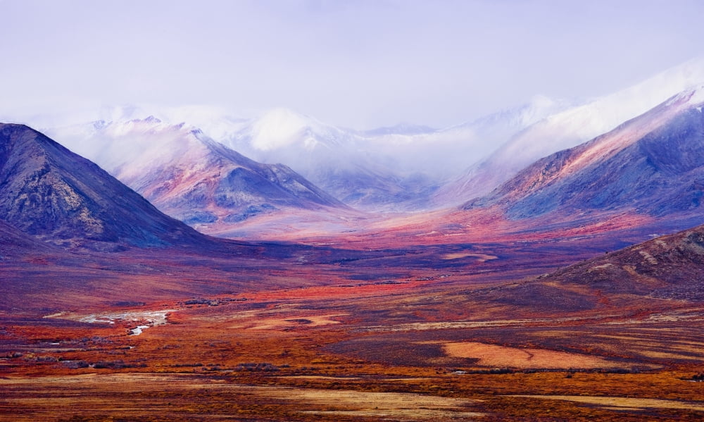 Tombstone Range And Fall Colours In Ogilvie Mountains Along Dempster Highway Tombstone Territorial Park Yukon Canvas Art - Yves Marcoux Design Pics (36 x 22)