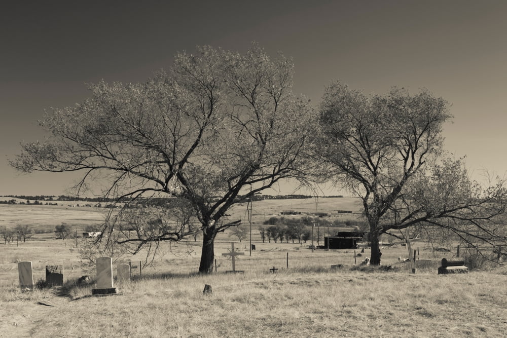 Tombstones and trees in a cemetery Wounded Knee Massacre Wounded Knee South Dakota USA Canvas Art - Panoramic Images (24 x 36)
