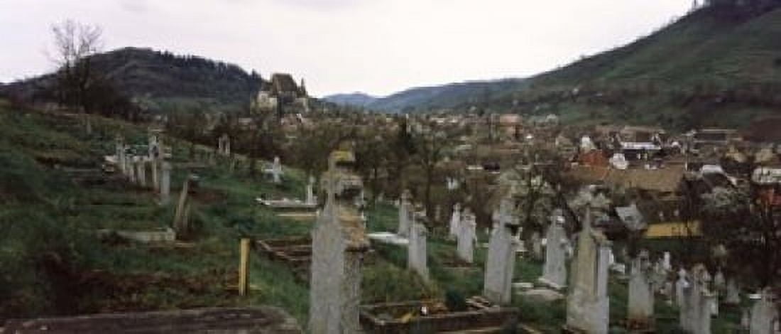 Tombstones in a cemetery Saxon Church Biertan Sibiu County Transylvania Romania Canvas Art - Panoramic Images (15 x 6)