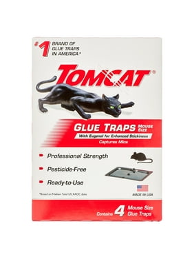 Tomcat Mouse Trap with Immediate Grip Glue, Ready-To-Use, 4 Traps