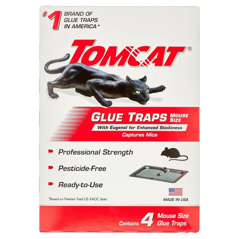  Mouse Trap
