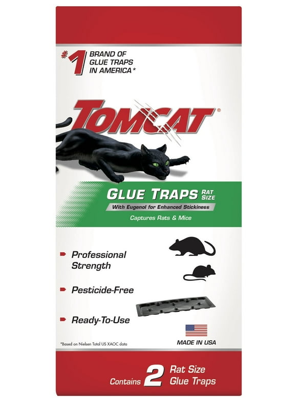 Rat Trap in Rat - Walmart.com