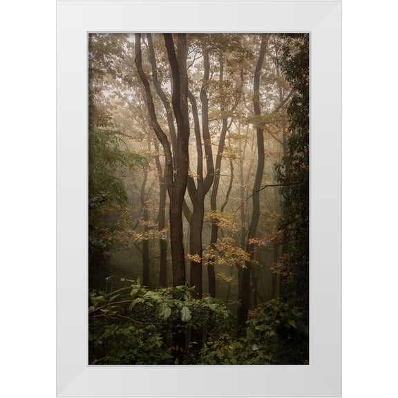 Tomic, Tomislav 11x14 White Modern Wood Framed Museum Art Print Titled - Fruska Gora