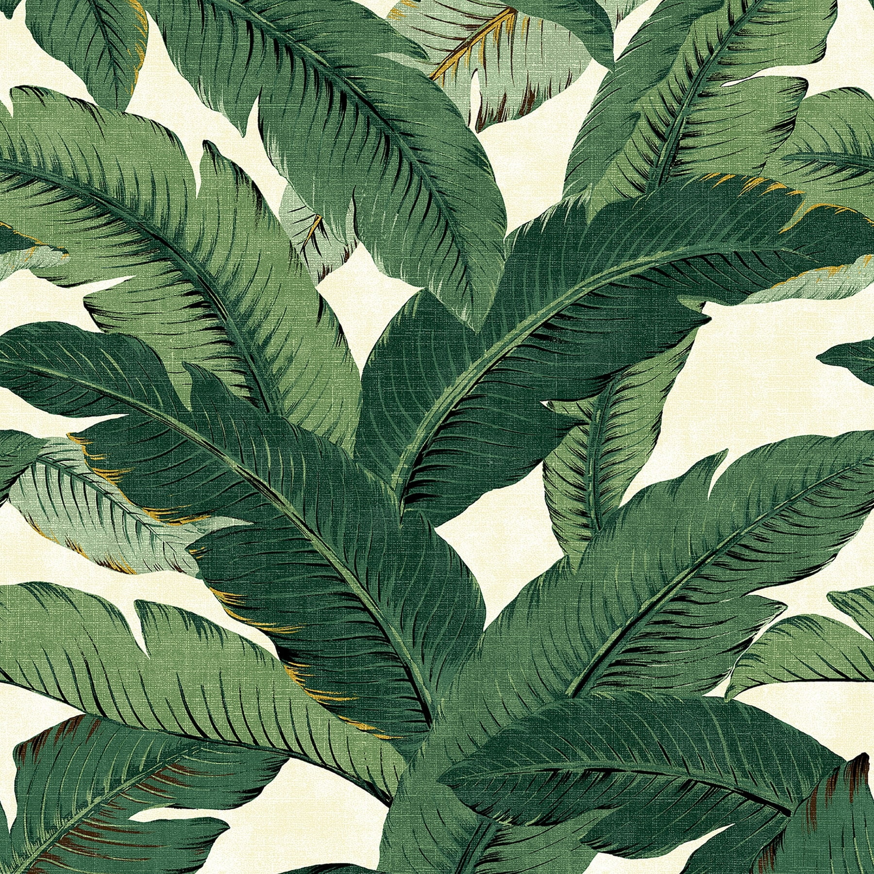 Aloe Green Tropical Palm Peel & Stick Wallpaper Roll