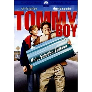 Slapstick Comedy in Comedy Movies - Walmart.com