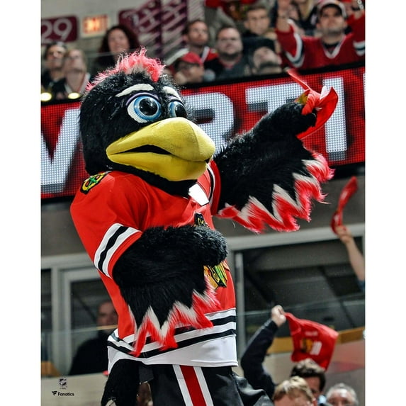 Tommy Hawk Chicago Blackhawks Unsigned Crowd Celebration Photograph