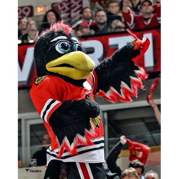 Tommy Hawk Chicago Blackhawks Unsigned Crowd Celebration Photograph
