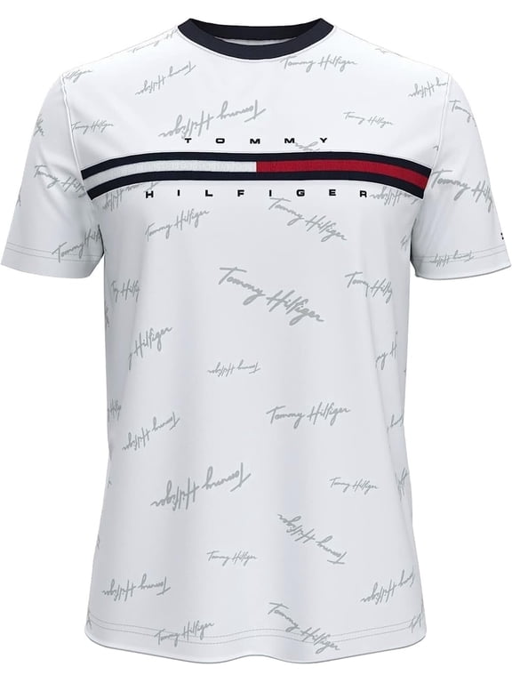 Men's Classic Fit Big Logo T-Shirt (Medium, Silver Tommy Hilfiger Signature)