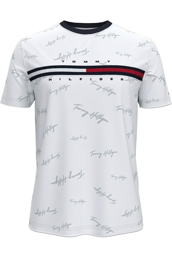 Men's Classic Fit Big Logo T-Shirt (Medium, Silver Tommy Hilfiger Signature)