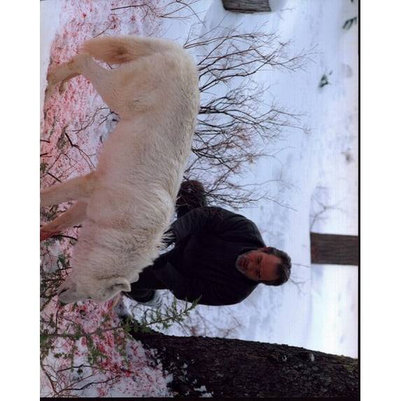 Tommy Lee Jones With White Wolf In The Hunted Photo Print (8 x 10) - Item # MVM57944