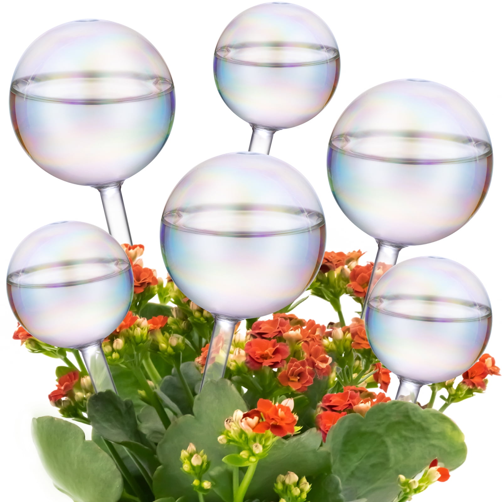 Tomorotec Iridescent Glass Self Watering Globes 6Pack (3 Large+3 Small