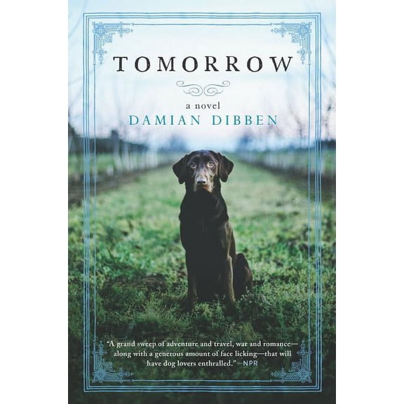 Tomorrow, (Paperback)
