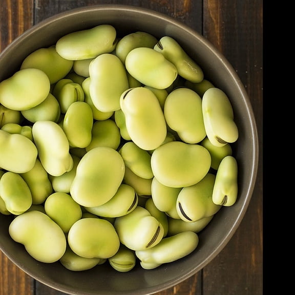 TomorrowSeeds - Aquadulce Fava Bean Seeds - 20+ Count - For 2026 Planting Cover Crop Cold Tolerant