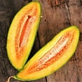 thumbnail image 1 of TomorrowSeeds - Banana Cantaloupe Seeds - 150+ Count - For 2025 Planting Cucumis Melo Heirloom, 1 of 11