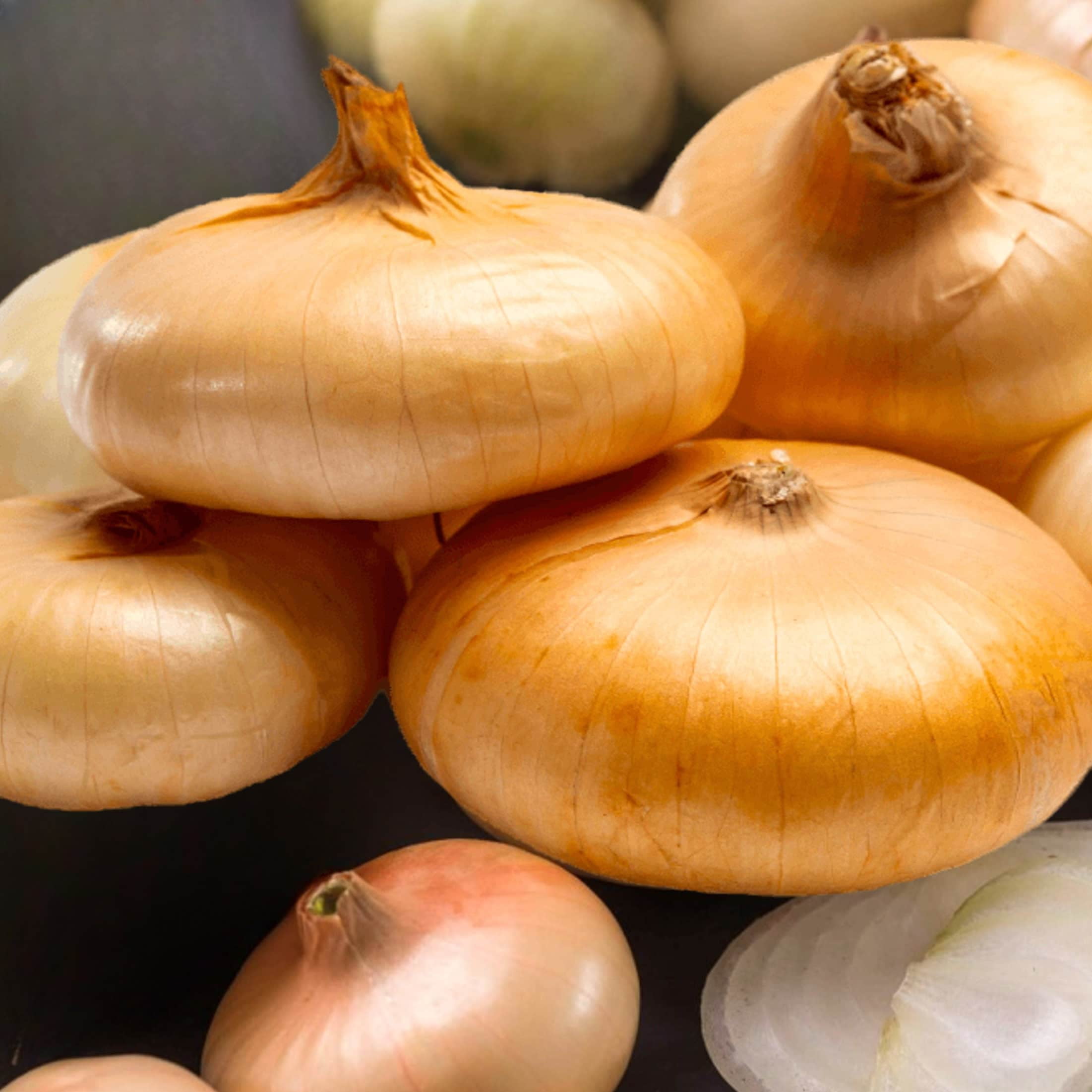 TomorrowSeeds Borettana Yellow Cipollini Onion Seeds 200+ Count