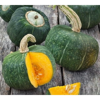 https://i5.walmartimages.com/seo/TomorrowSeeds-Burgess-Buttercup-Squash-Seeds-20-Count-Packet-Green-Pumpkin-Japanese-Kabocha-Winter-Blue-Gourd-Non-GMO-Vegetable-Seed-2024-Season_2939e36f-ac56-46f9-ab48-d4dc498742bd.bba94cb17ae5b3412998df09d00a06cc.jpeg?odnHeight=320&odnWidth=320&odnBg=FFFFFF