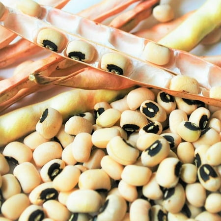 TomorrowSeeds - California Black Eyed Cowpea Seeds - 150+ Count - For 2026 Planting Black Eyed Peas