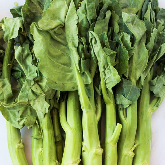 TomorrowSeeds - Chinese Broccoli Seeds - 500+ Count - For 2025 Planting Jie Lan Gai Lan Rapini Rabe