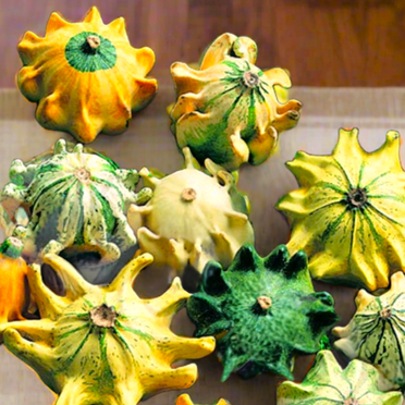 TomorrowSeeds - Crown of Thorns Ornamental Gourd Seeds - 30+ Count - For 2025 Planting Shenot Ten
