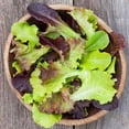 thumbnail image 1 of TomorrowSeeds - Gourmet Mix Lettuce Seeds - 2000+ Count - For 2026 Planting USA Garden Vegetable, 1 of 8