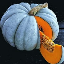 TomorrowSeeds - Jarrahdale Blue Pumpkin Seeds - 40  Count Packet - Cinderella Fairytale Winter Squash Jarradale Queensland Moon Doll Vegetable Seed 2024 Season