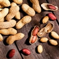 thumbnail image 1 of TomorrowSeeds - Jumbo Bailey Virginia Peanut Seeds - 60+ Count - For 2026 Planting Top Producer, 1 of 11