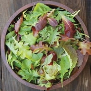 TomorrowSeeds - Mesclun Mix Lettuce Seeds - 500+ Count Packet - Spring Mix Salad Greens Arugula Mizuna Tatsoi Russian Kale Garden Vegetable Seed 2024 Season