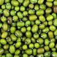 thumbnail image 1 of TomorrowSeeds - Mung Bean Seeds - 600+ Count - For 2026 Planting Mungbeans Green Beans Vegetable, 1 of 11