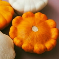 TomorrowSeeds - Orange Patty Pan (Bush Scallop Squash) Seeds - 30 Count - For 2026 Planting