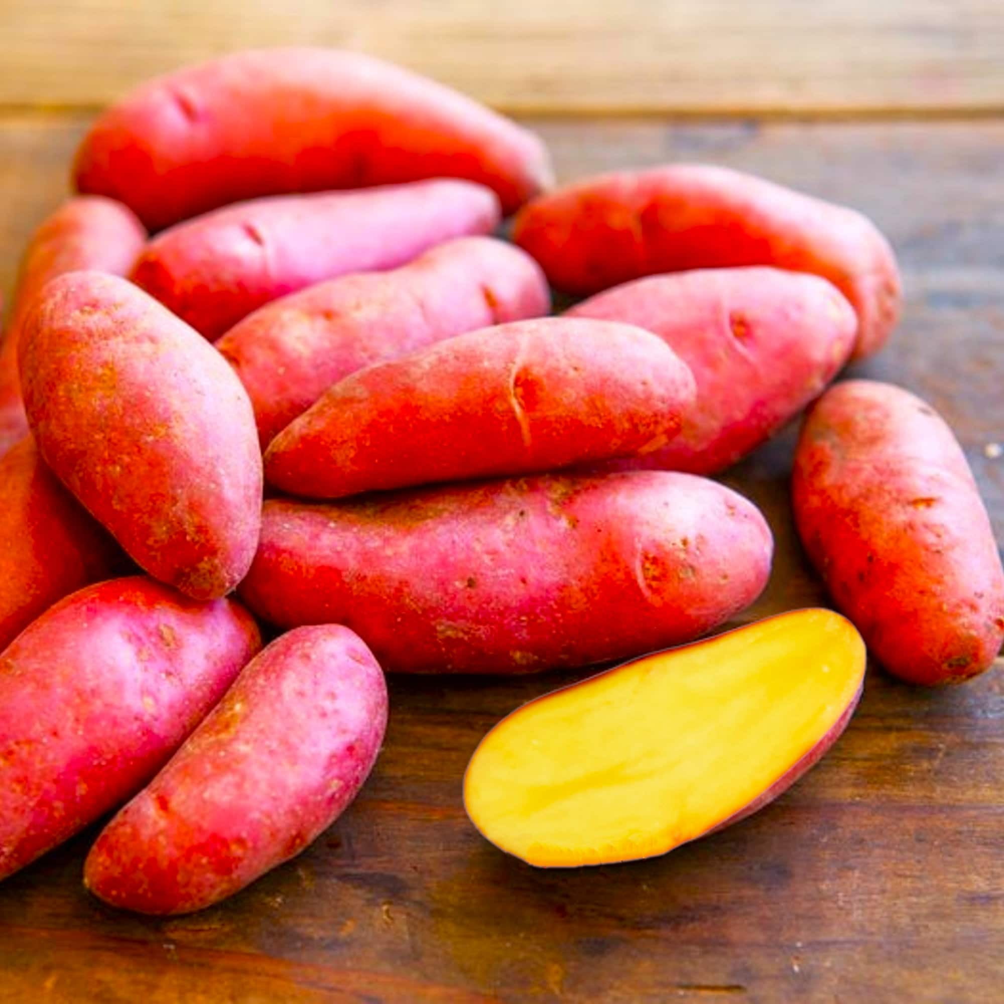 TomorrowSeeds - Red French Fingerling Seed Potatoes - USDA Certified for Growers Red Gold New Potato Bulb For Planting Vegetable Seeds 2025 - 15 Pounds