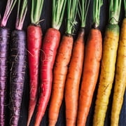 TomorrowSeeds - Rainbow Mix Carrot Seeds - 3000+ Count - For 2026 Planting Purple Red Yellow Orange