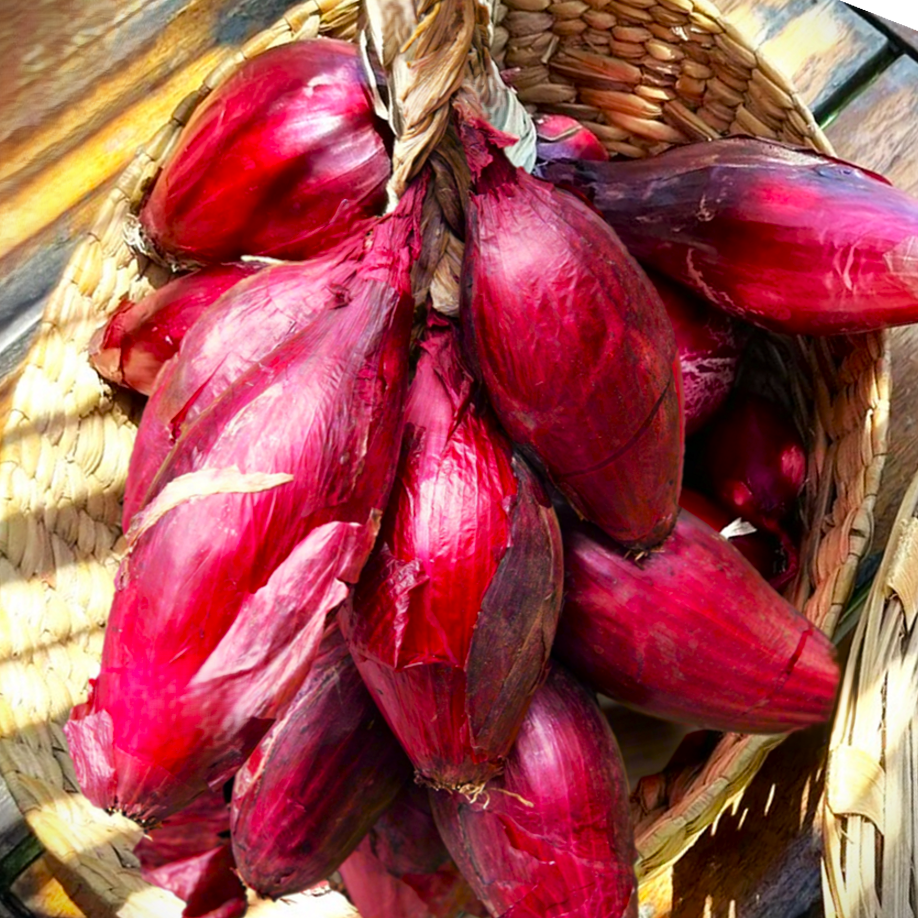 Nebuka Evergreen Bunching Onion Seeds - 100 Count Seed Pack