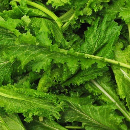 TomorrowSeeds - Spicy Brown Mustard Green Seeds - 9000+ Count - For 2026 Planting Brassica Garden