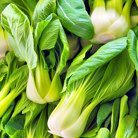 TomorrowSeeds - Wa Wa Qing Bok Choy Seeds - 500+ Count - For 2025 Planting Hybrid Green Pak Choi Pok