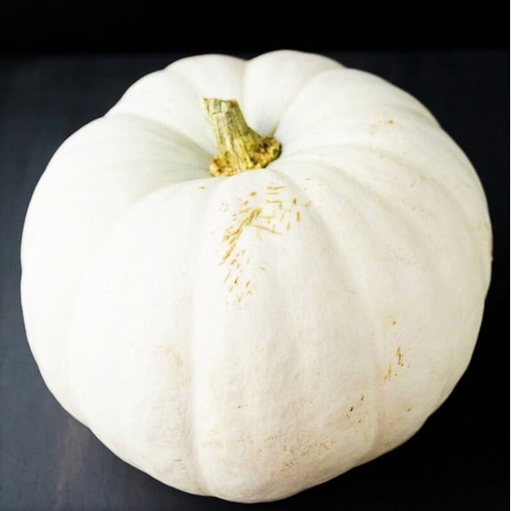 TomorrowSeeds - White Queen Pumpkin Seeds - 20+ Count - For 2026 Planting Heirloom Fall Garden