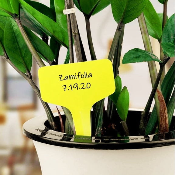 TomorrowSeeds - Yellow T-Shaped Plant Labels - 20 Labels - Garden Stake Plastic Row Marker Pot Seed Label Food Safe Party Waterproof 2024 Season