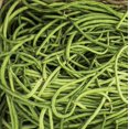 thumbnail image 1 of TomorrowSeeds - You Fong Wong Yard Long Bean Seeds - 30+ Count - For 2025 Planting Black Seeded Pole, 1 of 11