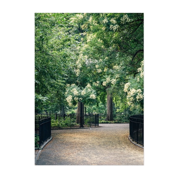 Tompkins Square Park - Manhattan New York Photography Nature Forest Scenic Landscape Botanical Unframed Wall Art Print 4 x 6 inches