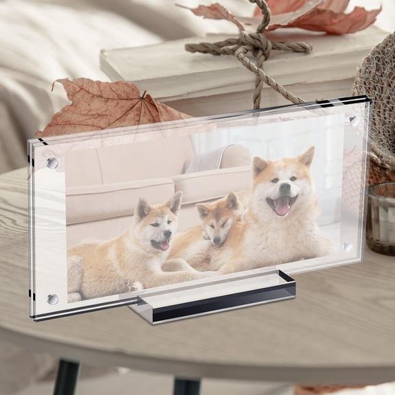 Tongina Dollar Bill Picture Frame Holder Acrylic Display with Base Organizing Wear Resistant Ideal Gift Tabletop Display for Concert