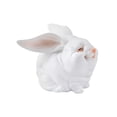 thumbnail image 1 of Tongina Little White Rabbit Micro Landscape, Easter Mini Bunny Figurines Collectible Desktop Craft Creative Ornaments for Office Desk Small, 1 of 8