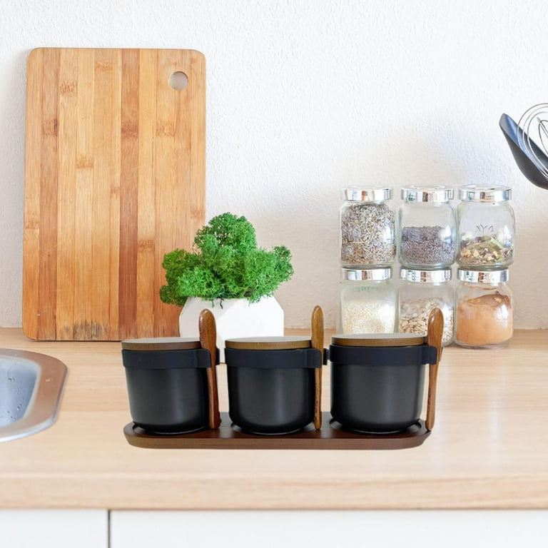 Tongina Porcelain Spice Jars Condiment Jar Versatile with Spoon